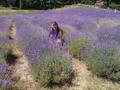 Pannonhalma 14. 06.14.